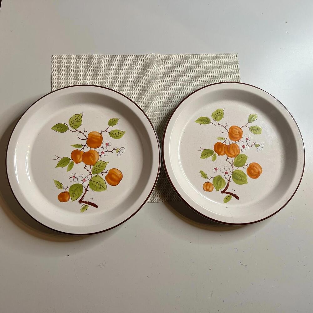 Vintage Wellin Orchard Hand-Painted Dinner Plates 10.5” –‎ Set of 2 | Korea